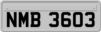 NMB3603