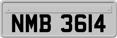 NMB3614