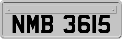 NMB3615