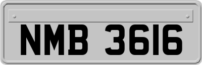 NMB3616
