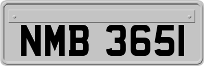 NMB3651
