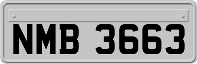 NMB3663