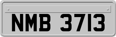 NMB3713