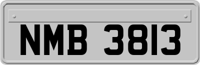 NMB3813