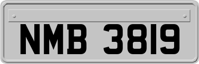 NMB3819