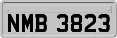 NMB3823