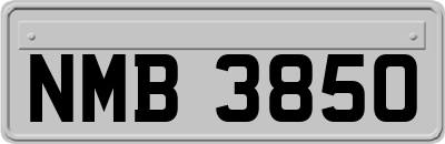 NMB3850