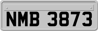 NMB3873