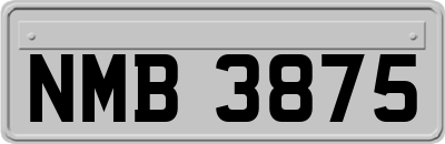 NMB3875