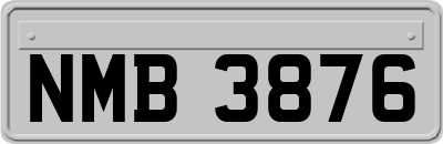 NMB3876