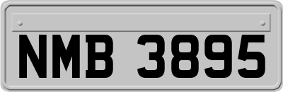 NMB3895