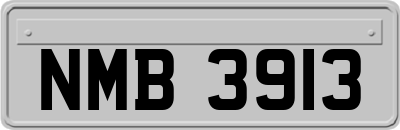 NMB3913