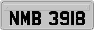 NMB3918