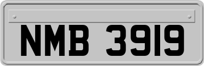 NMB3919