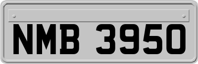 NMB3950