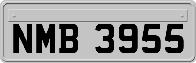 NMB3955