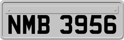 NMB3956