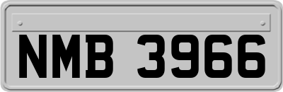 NMB3966