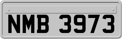 NMB3973
