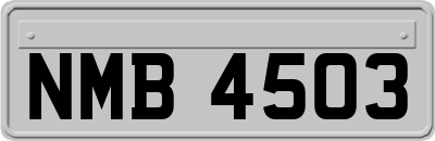 NMB4503