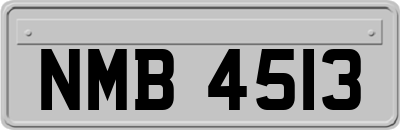 NMB4513