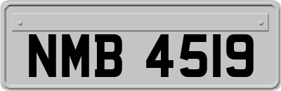NMB4519