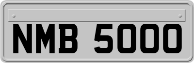 NMB5000