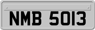 NMB5013