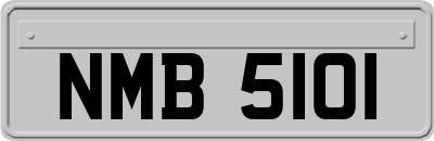 NMB5101