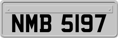 NMB5197