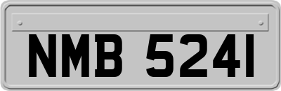NMB5241