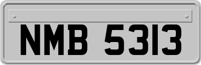 NMB5313