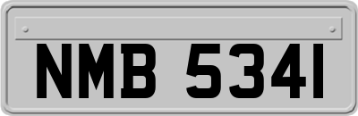 NMB5341