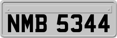 NMB5344
