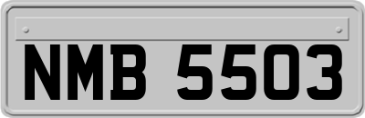 NMB5503