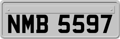 NMB5597