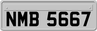 NMB5667