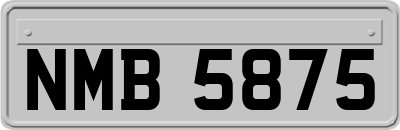 NMB5875