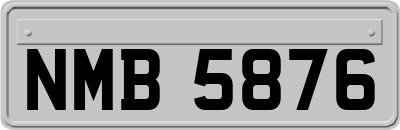 NMB5876