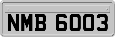 NMB6003
