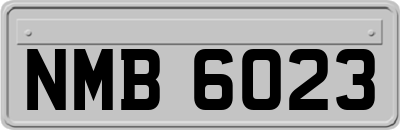 NMB6023