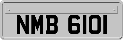 NMB6101