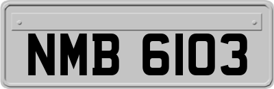 NMB6103