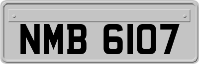 NMB6107