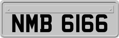 NMB6166