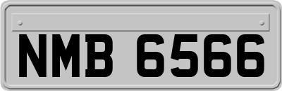 NMB6566