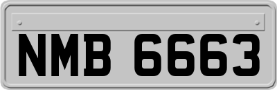 NMB6663