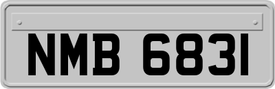 NMB6831