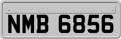 NMB6856