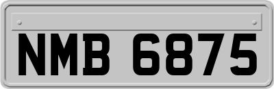 NMB6875